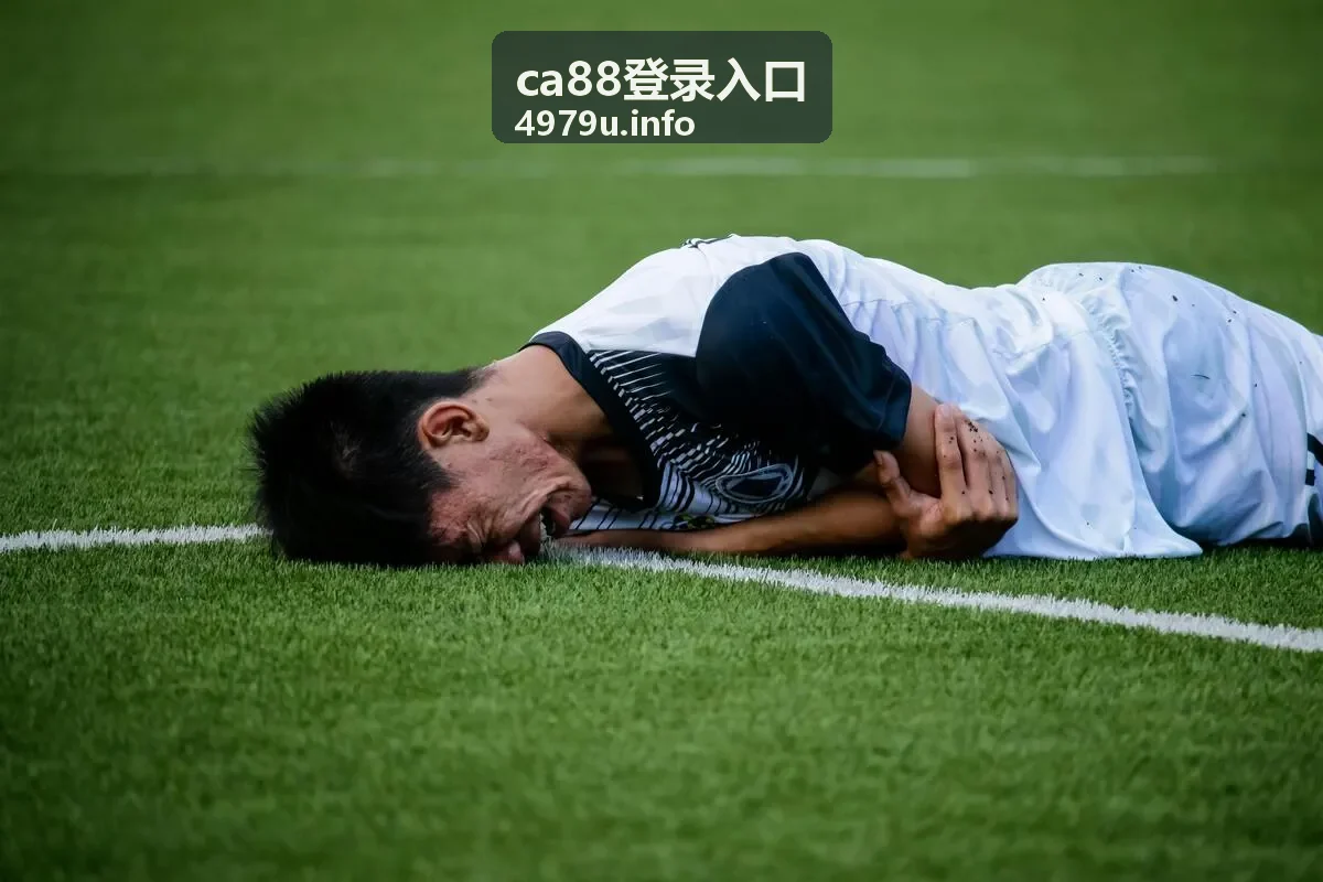 ca88登录入口参与流程